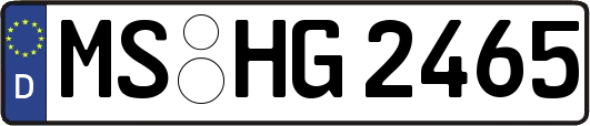MS-HG2465