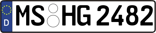 MS-HG2482