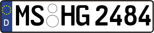 MS-HG2484