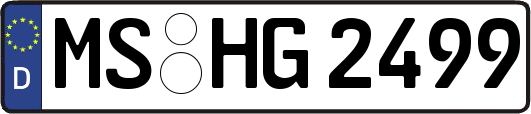 MS-HG2499