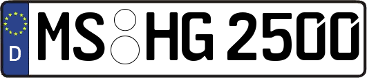 MS-HG2500