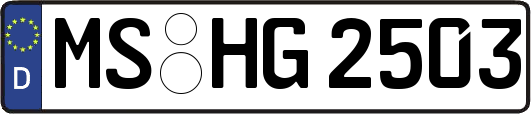 MS-HG2503