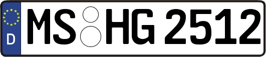 MS-HG2512