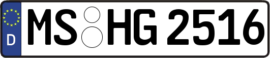 MS-HG2516