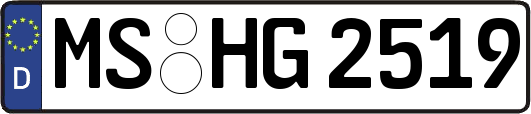 MS-HG2519