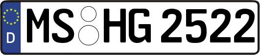 MS-HG2522