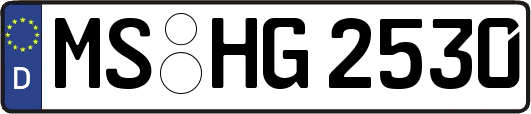 MS-HG2530