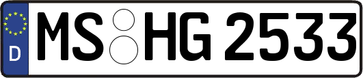 MS-HG2533