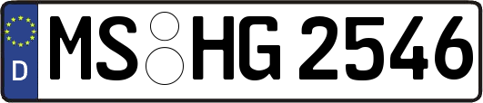 MS-HG2546