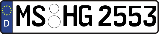 MS-HG2553