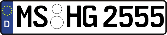 MS-HG2555