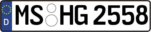 MS-HG2558