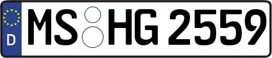 MS-HG2559
