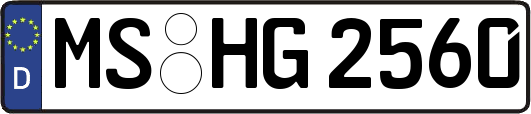 MS-HG2560
