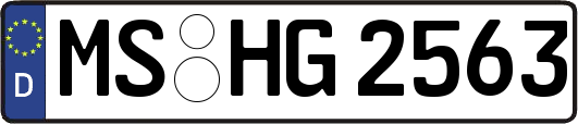 MS-HG2563
