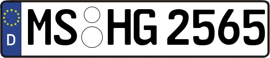 MS-HG2565