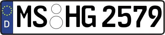 MS-HG2579