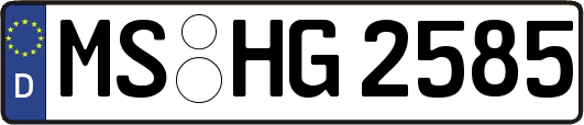 MS-HG2585