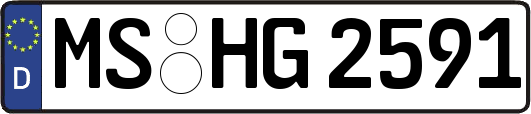 MS-HG2591