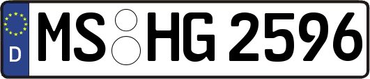 MS-HG2596