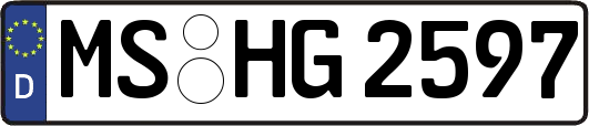 MS-HG2597