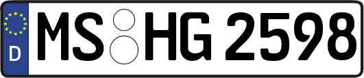 MS-HG2598