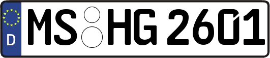 MS-HG2601