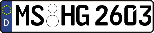 MS-HG2603