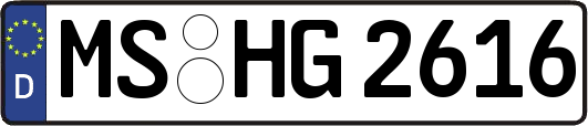 MS-HG2616