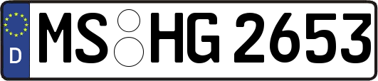 MS-HG2653