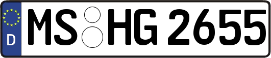 MS-HG2655