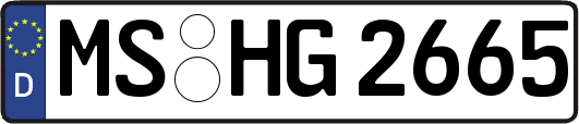MS-HG2665