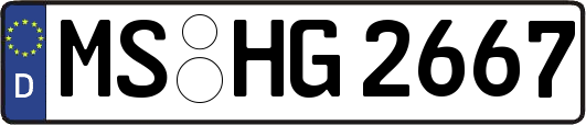 MS-HG2667