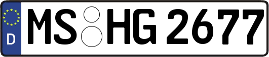 MS-HG2677
