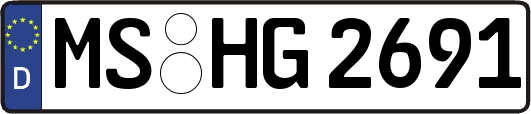 MS-HG2691