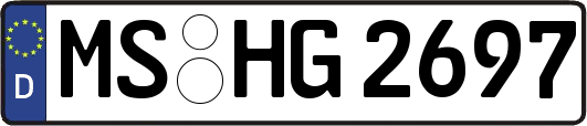 MS-HG2697