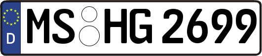 MS-HG2699