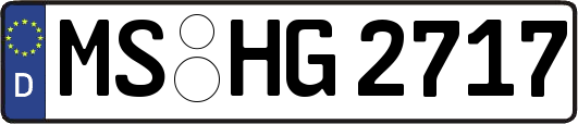 MS-HG2717