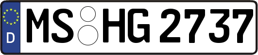 MS-HG2737