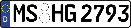 MS-HG2793