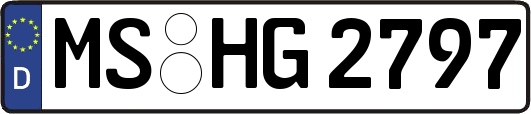 MS-HG2797