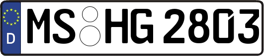 MS-HG2803