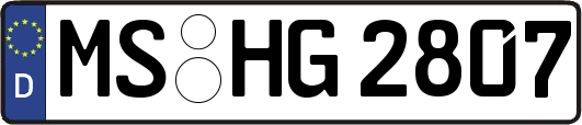 MS-HG2807