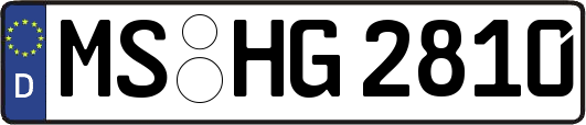 MS-HG2810