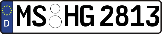 MS-HG2813