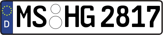 MS-HG2817