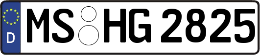 MS-HG2825