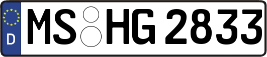 MS-HG2833