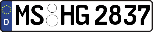 MS-HG2837