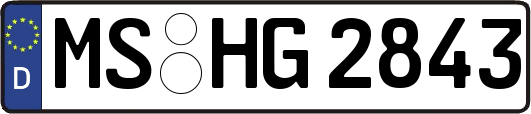 MS-HG2843